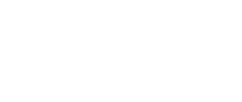Logo Varese Professionisti